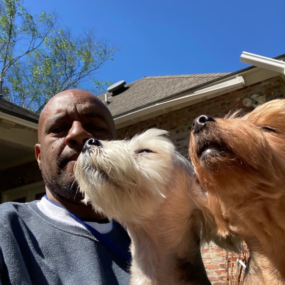 Meet your Posher, Antwan - Picture 3 of 3